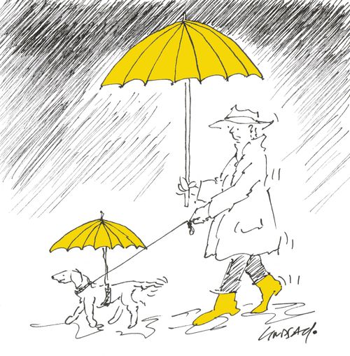 Dog and Owner Umbrellas