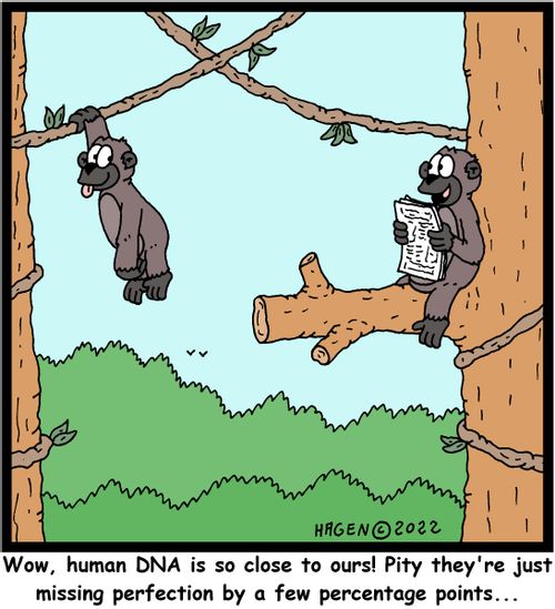 "Wow, human DNA is so close to ours! Pity they're just missing perfection by a few percentage points..."