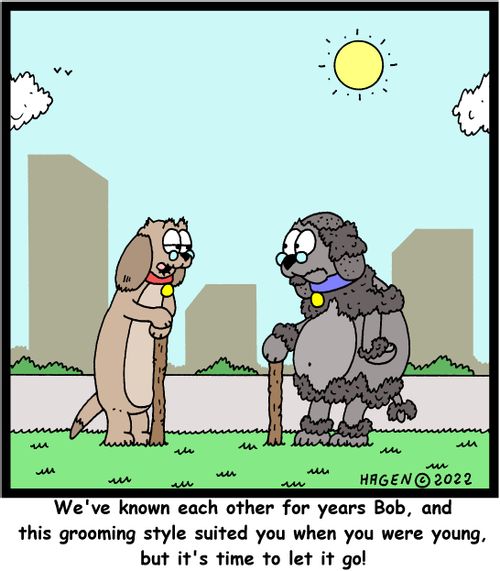 "We've known each other for years Bob, and this grooming style suited you when you were young, but it's time to let it go!"