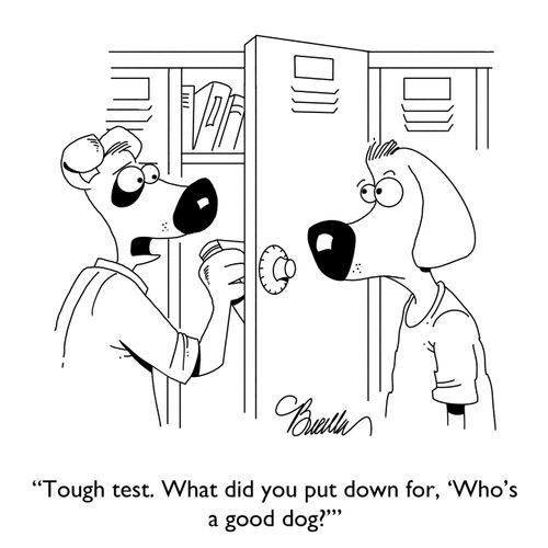 "Tough test. What did you put down for, 'Who's a good dog?'"
