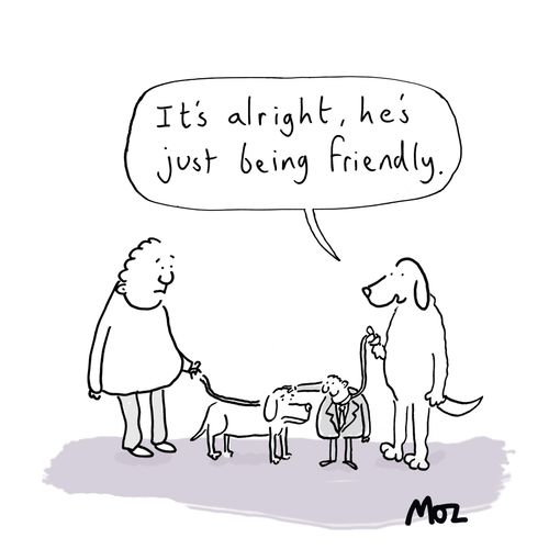 "It's alright, he's just being friendly."
