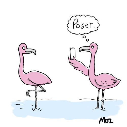 Poser