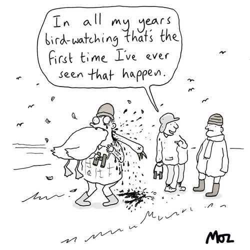"In all my years bird-watching that's the first time I've ever seen that happen."