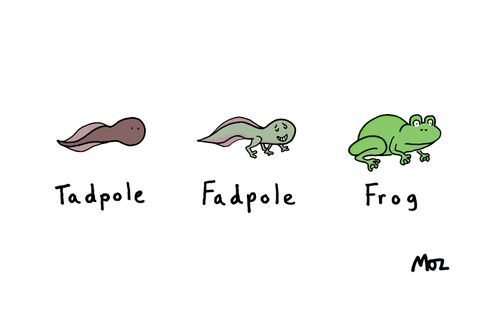 Tadpole, Fadpole, Frog.