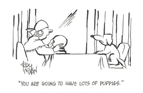"You are going to have lots of puppies."