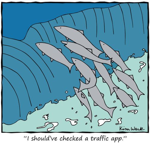 "I should have checked a traffic app."