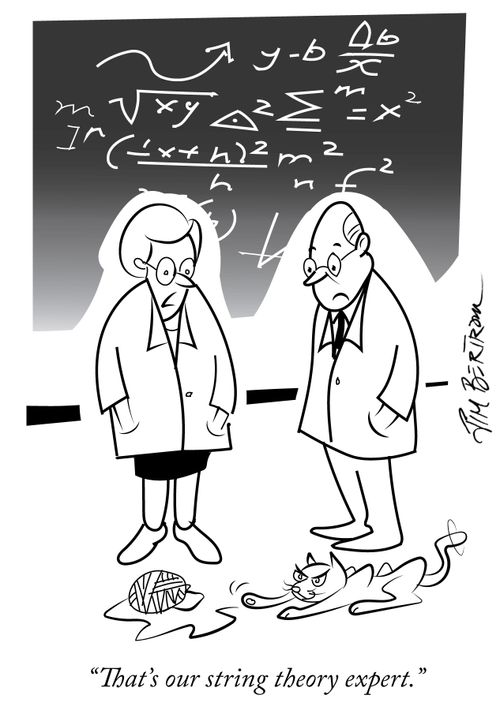 "That's our string theory expert."