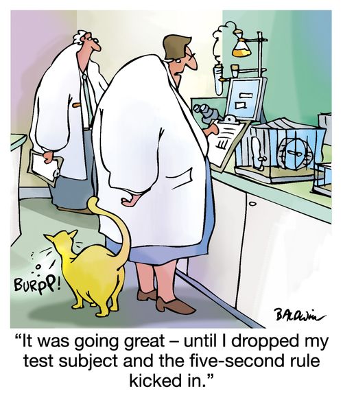 "It was going great - until I dropped my test subject and the five-second rule kicked in."
