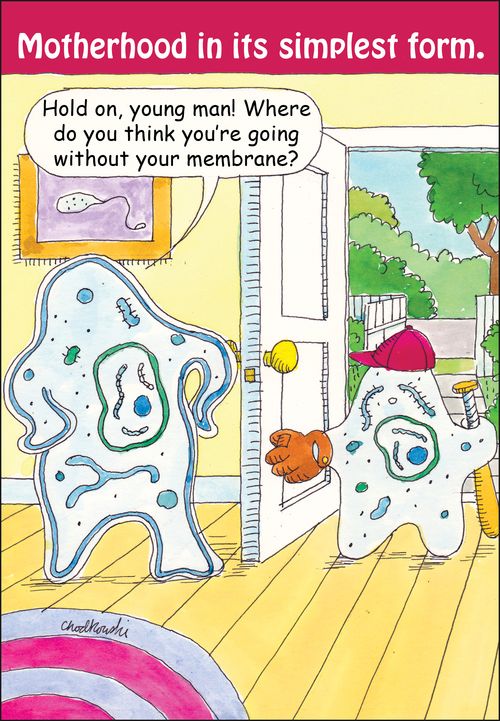 Motherhood in its simplest form.