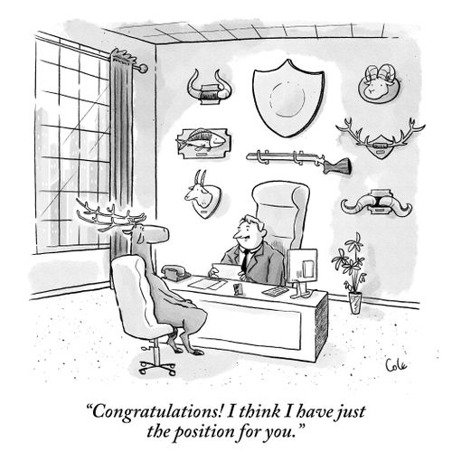 "Congratulations! I think I have just the position for you."