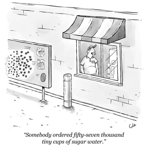 "Somebody ordered fifty-seven thousand tiny cups of sugar water."