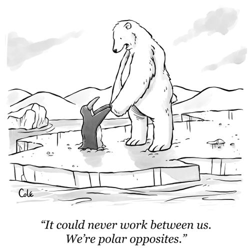 "It could never work between us. We're polar opposites."