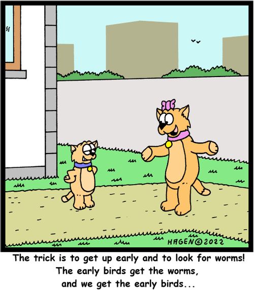 "The trick is to get up early and to look for worms! The early birds get the worms, and we get the early birds. . ."