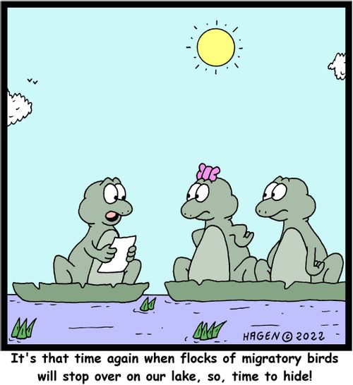 "It's that time again when flocks of migratory birds will stop over on our lake, so, time to hide!"
