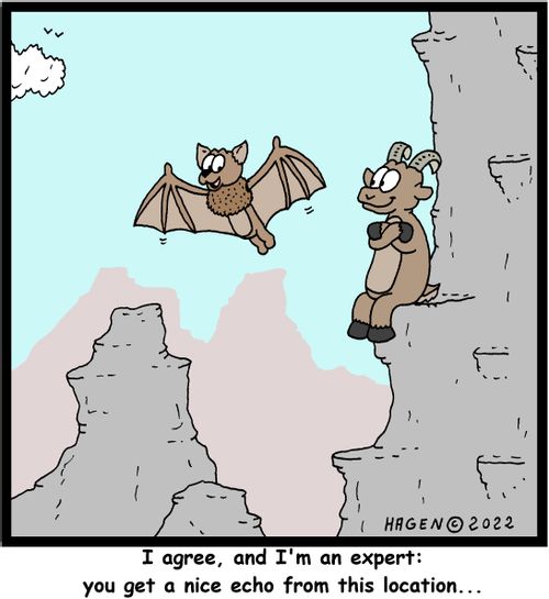 "I agree, and I'm an expert: you get a nice echo from this location..."