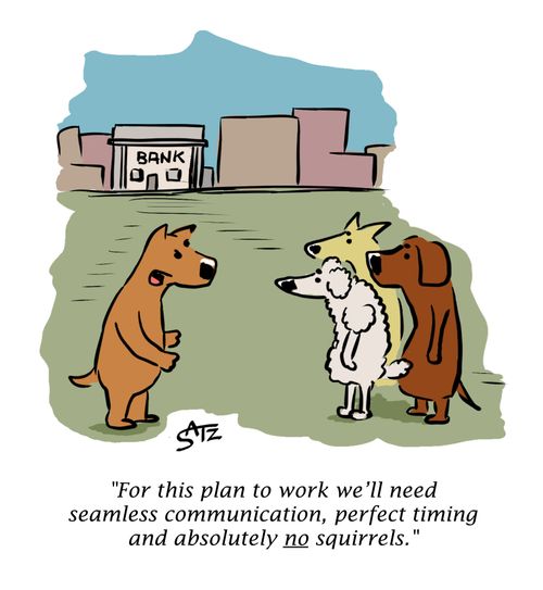 "For this plan to work we'll need seamless communication, perfect timing and absolutely no squirrels."