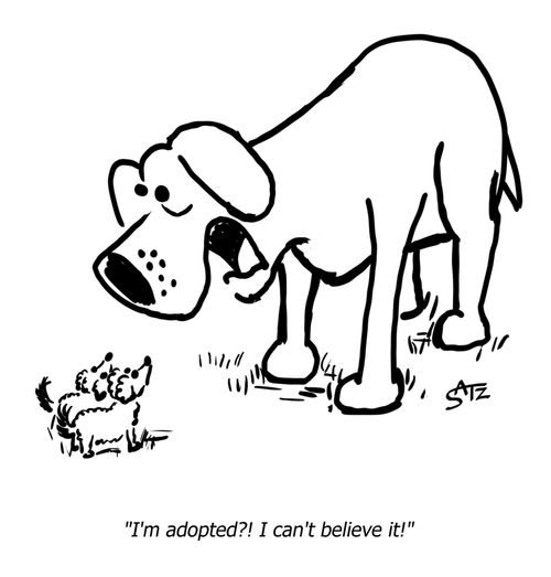 "I'm adopted?! I can't believe it!"