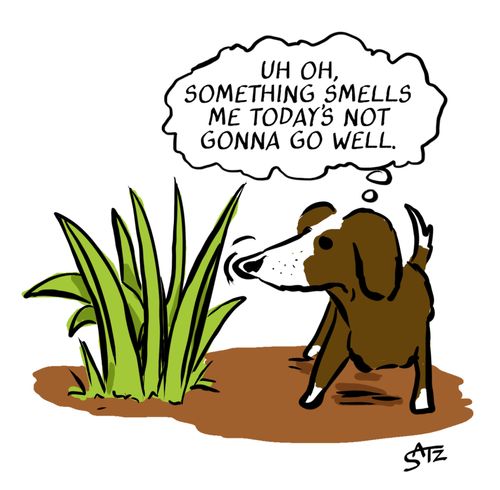 "Uh oh, something smells me today's not gonna go well."