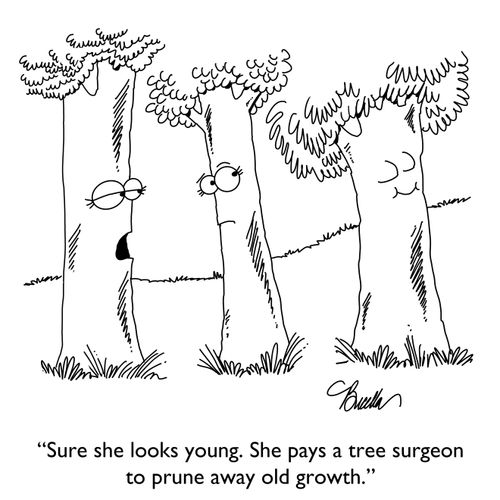 "Sure she looks young. She pays a tree surgeon to prune away old growth."