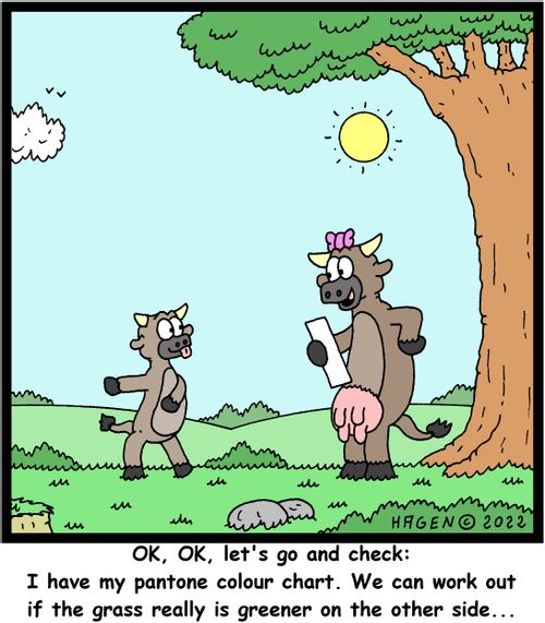"Ok, Ok, let's go and check: I have my pantone colour chart. We can work out if the grass really is greener on the other side. . ."