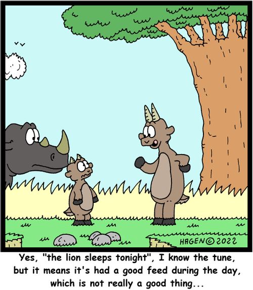 "Yes, 'the lion sleeps tonight', I know the tune, but it means it's had a good feed during the day, which is not really a good thing..."