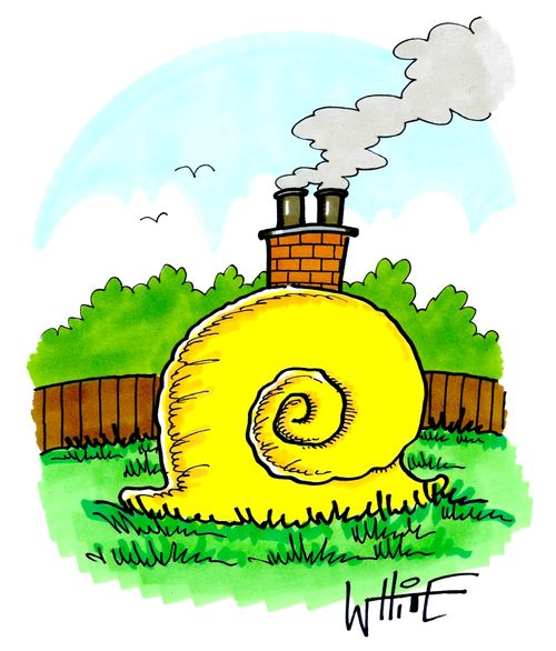 An snail shell with a chimney