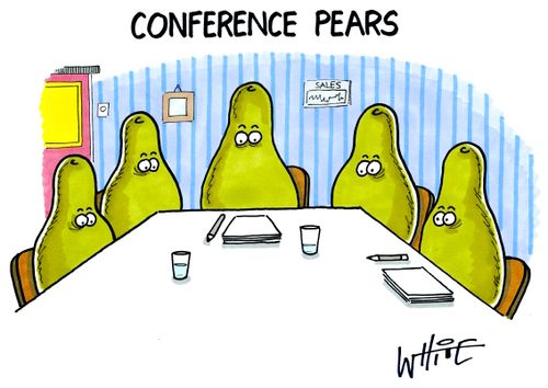 Conference pears