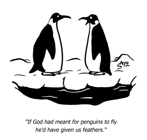 "If God had meant for penguins to fly he'd have given us feathers."