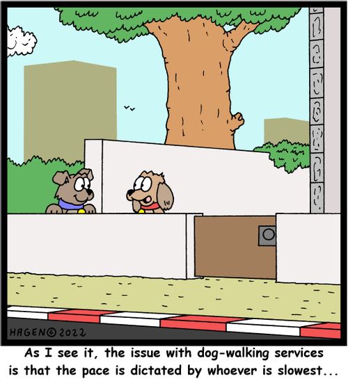 "As I see it, the issue with dog-walking services is that the pace is dictated by whoever is slowest..."