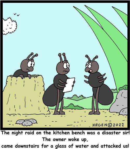"The night raid on the kitchen bench was a disaster sir! The owner woke up, came downstairs for a glass of water and attacked us!"