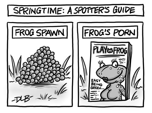 Springtime: a spotter's guide
