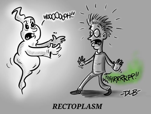Rectoplasm