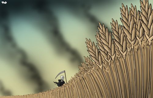 Fields of war