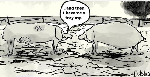 ". . . And then I Became a Tory MP."