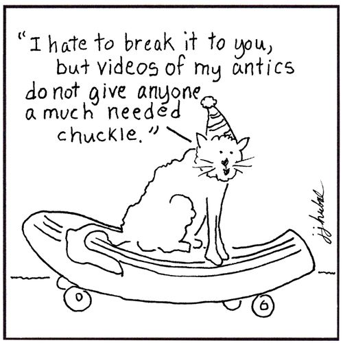 "I hate to break it to you, but videos of ym antics do not give anyone a much needed chuckle."