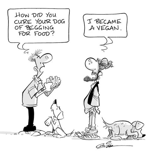 "How did you cure your dog of begging for food?"