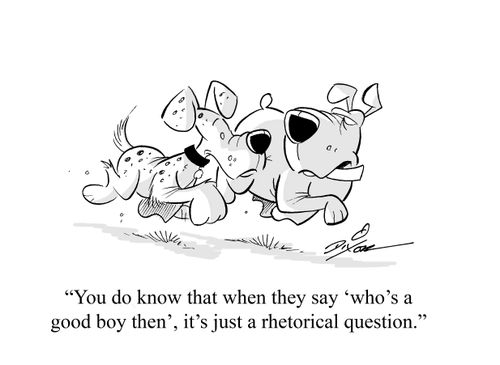 "You do know that when they say 'who's a good boy then', it's just a rhetorical question."