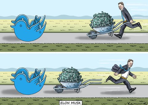 Elon Musk Twitter Takeover