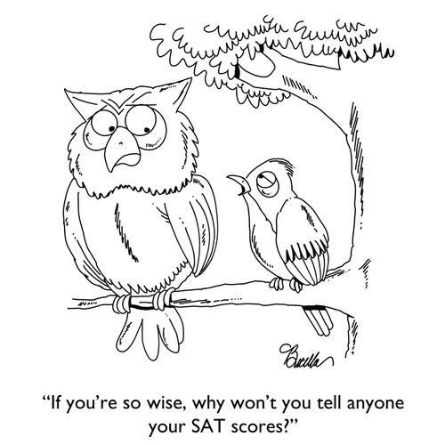 "If you're so wise, why won't you tell anyone your SAT scores?"
