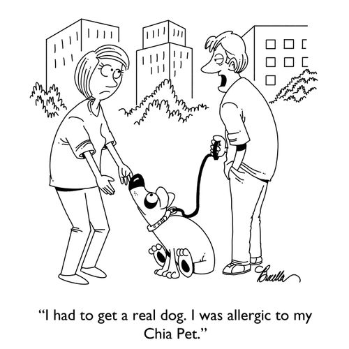 "I had to get a real dog. I was allergic to my Chia Pet."