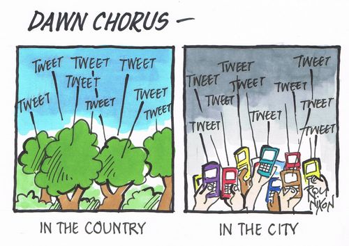 Dawn Chorus in the Country and in the City.