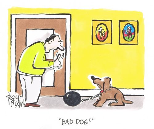 "Bad dog!"