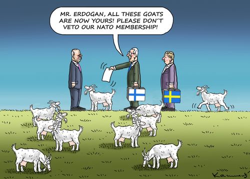 "Mr. Erdogan, all these goats are now yours!..."