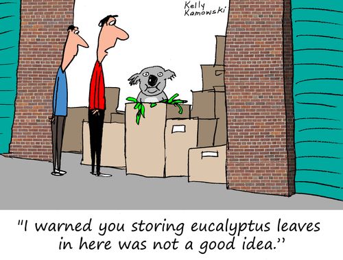 "I warned you storing eucalyptus leaves in here was not a good idea."