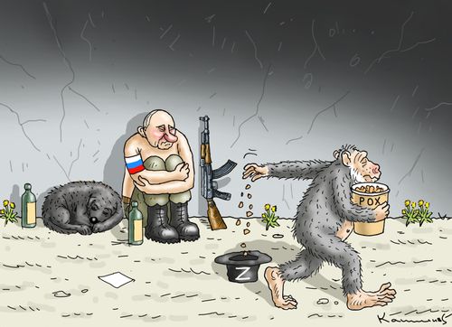 Monkeypox and War