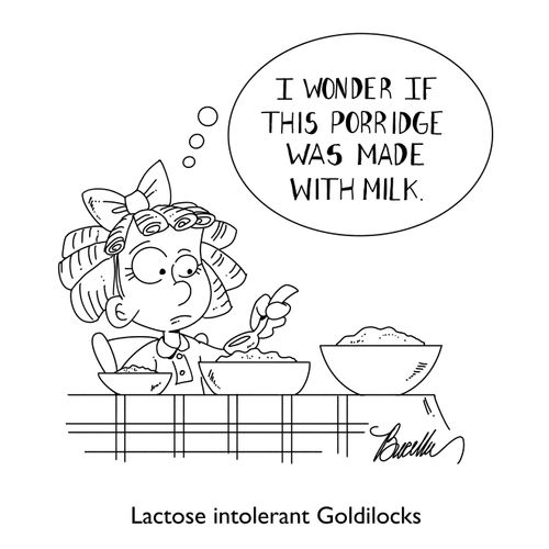 Lactose Intolerant Goldilocks