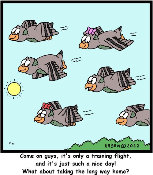 "Come on guys, it's only a training flight, and it's just such a nice day! What about taking the long way home?"