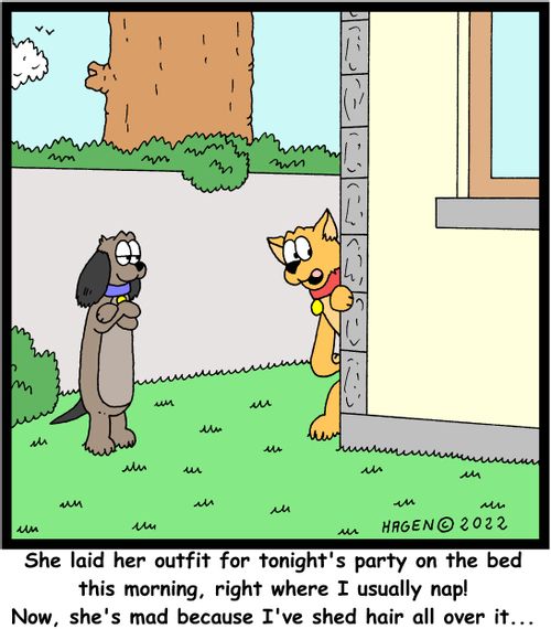 "She laid her outfit for tonight's party on the bed this morning, right where I usually nap! Now, she's mad because I've shed hair all over it. . ."