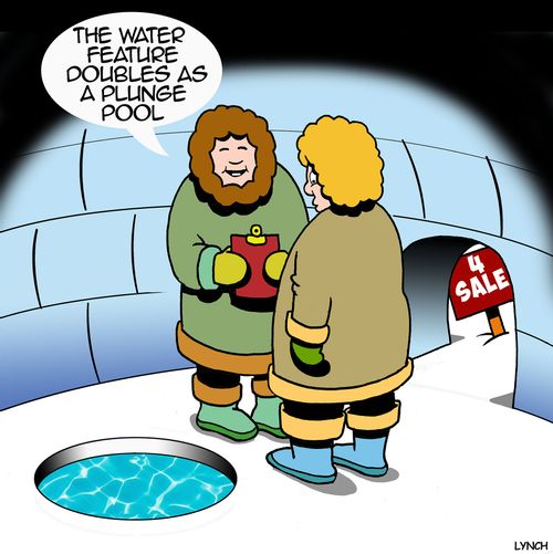 "The water feature doubles as a plunge pool."