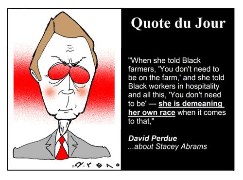 David Perdue